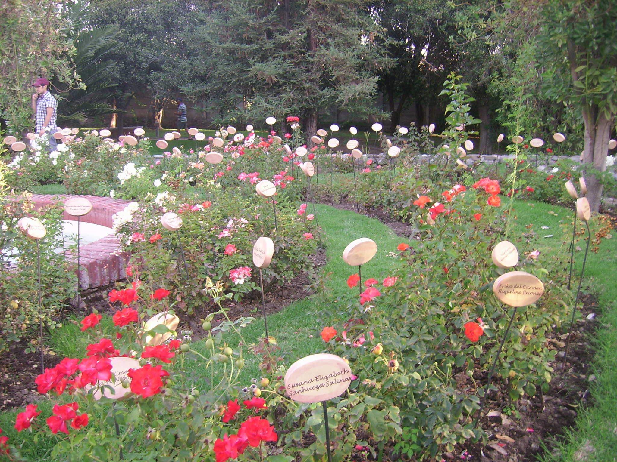 Ninguna calle lleva tu nombre, compañera.